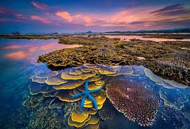 Viet Nam